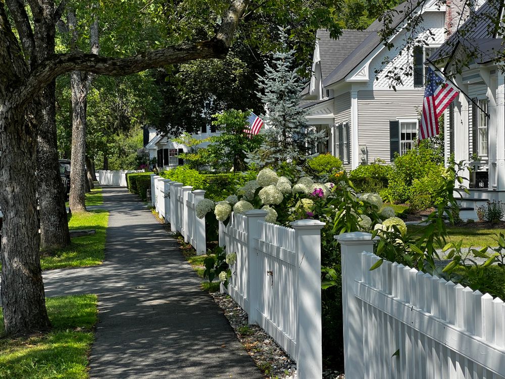 Cool Cat Fence